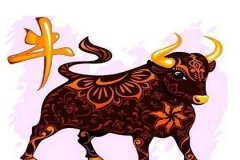 屬牛2018年運(yùn)程詳解