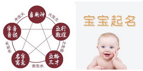 狗寶寶起名